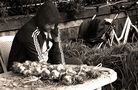 the seller of garlic de Emilio Sirletti