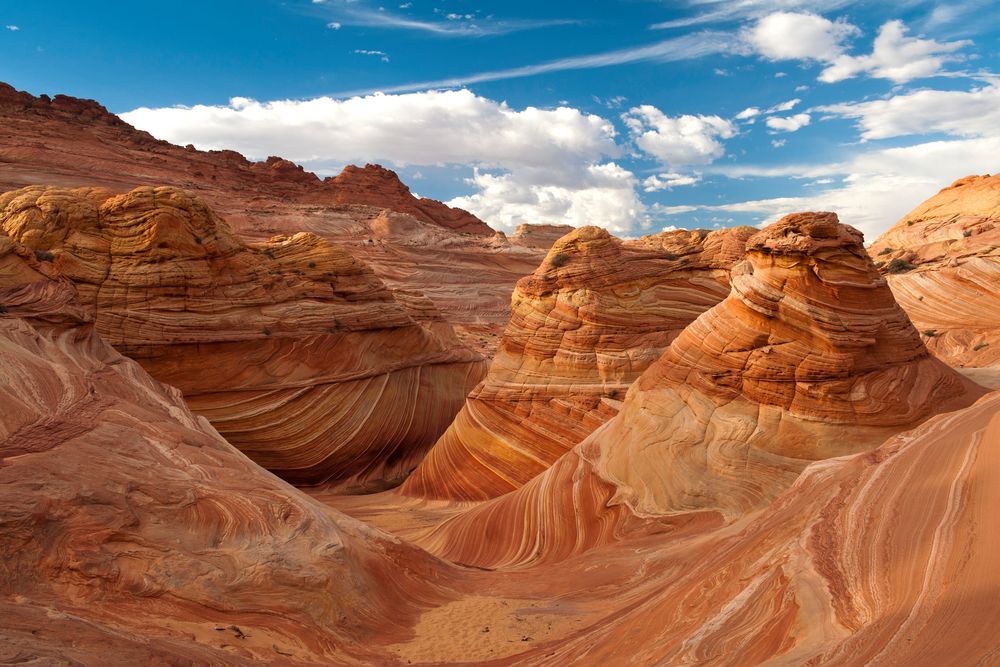 The Wave, Vermilion Cliffs by MartinaJR