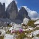 Tre Cime di Lavaredo III