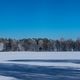 Winterlandschaft - Lneburger Heide