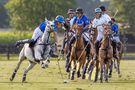 Polo in Mühlen von Lothar M