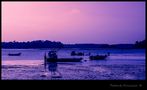 L 'heure mauve à L'île Tudy von artphot36 