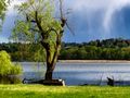 Nel parco Zanzi di Roberto 1950