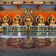 Buddha Statuen mit Reflektion in einem tibetischen Kloster