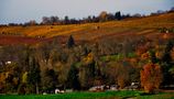 Herbst Impressionen rund um Marbach 20 by SINA 