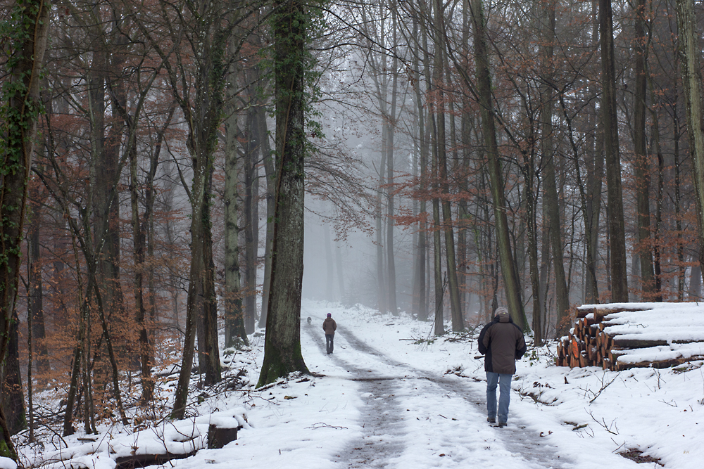 0°C und Nebel