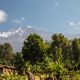 Faszination Afrika - der Kilimandscharo