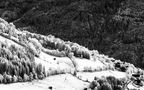 IR Fotografie in Kärnten von Skorpionmann