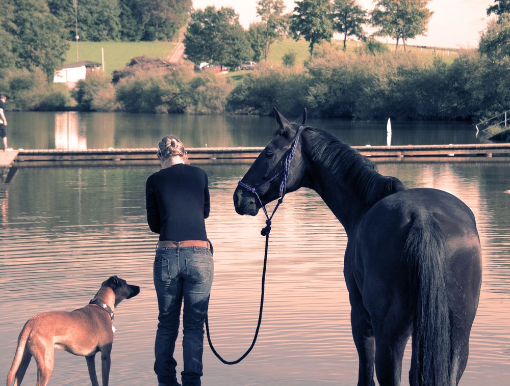 Freundschaft von Anja Juli 