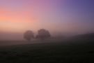 Ein herbstlicher Morgen von Rüdiger Ulrich