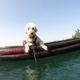 Goldendoodle is watching you...