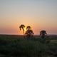 Abendstimmung bei Palmwag, Damaraland, Namibia