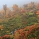 Autumn - Sonfjaellet NP