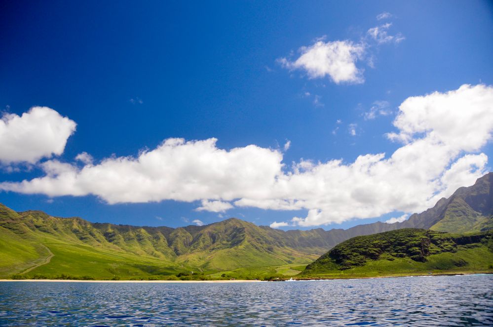 O'ahu von FreakEasY