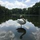 Goldbergsee