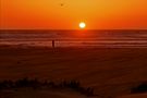 Am Strand von Morro Bay von Peter U.