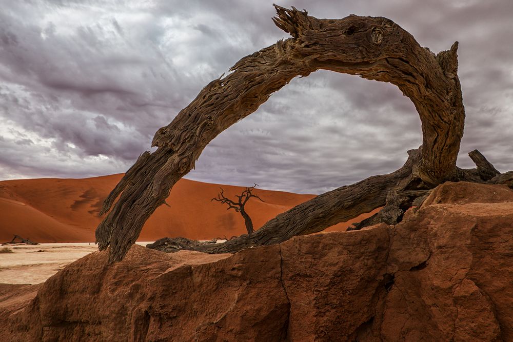 Durchblick im Dead Vlei von Klaus Degen