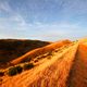 Fleurieu Peninsula -Talisker Conservation Park - South Australia