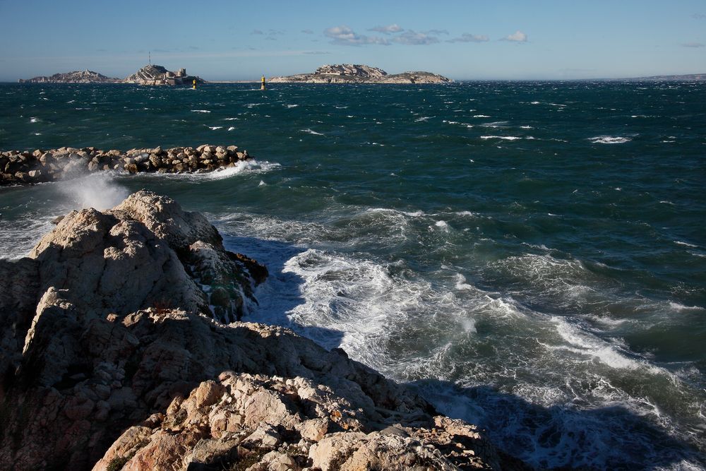 Au bord de l'eau pour admirer les vagues  de dominati simone