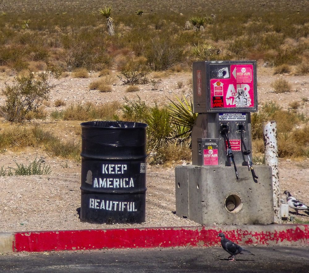 Keep Amerika Beautiful de Sergei Zimbulov