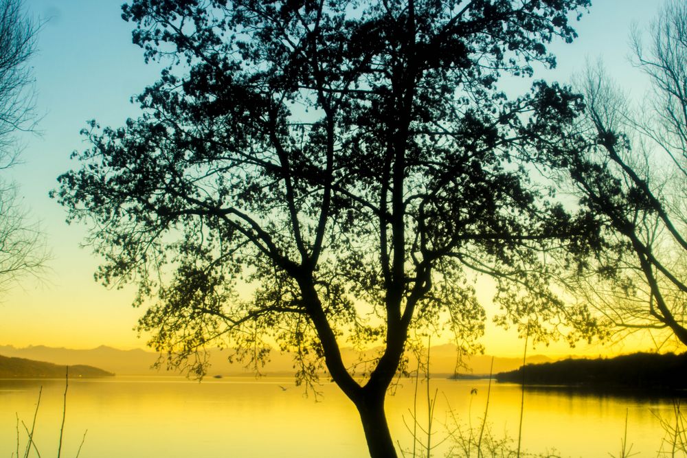 Winterabend am Starnberger See noch ohne Schnee von Wolfgang Schwieren