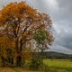 Herbststimmung am Fue des Thringer Waldes