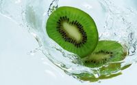 0Kiwi0