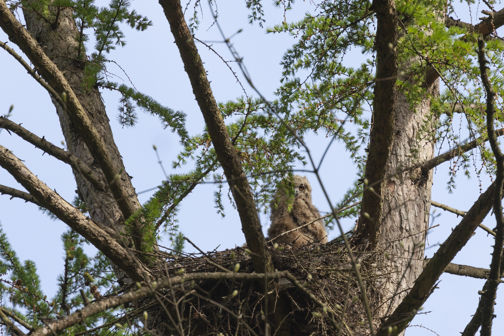 0T8A0911-Bearbeitet 1 Mai