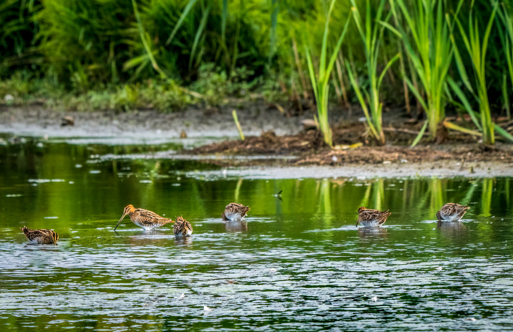 "1-2-3-4-5-6" und das Ärgernis