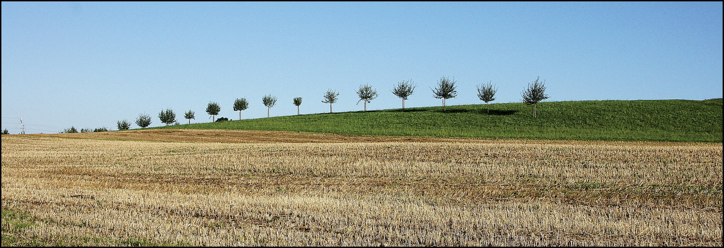 1, 2, 3, 4,... ganz viele