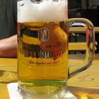 1-2-3-4Helles bei 30 Celsius