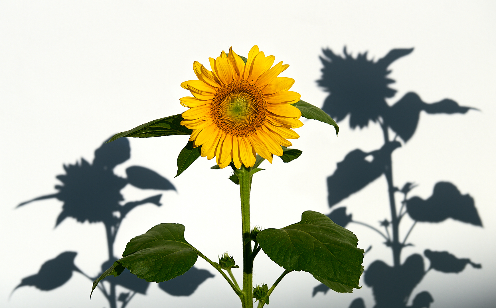 123... Foto & Bild world, outdoor, natur Bilder auf