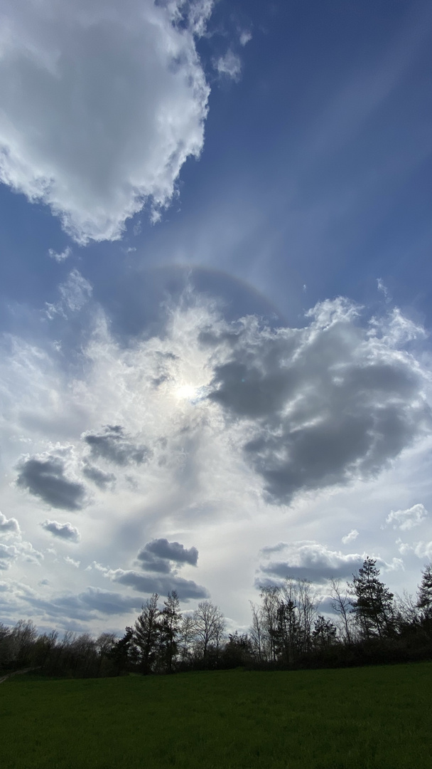 (1) 22°-Sonnenhalo über dem Regental, nordöstlich Regenstauf/Opf.