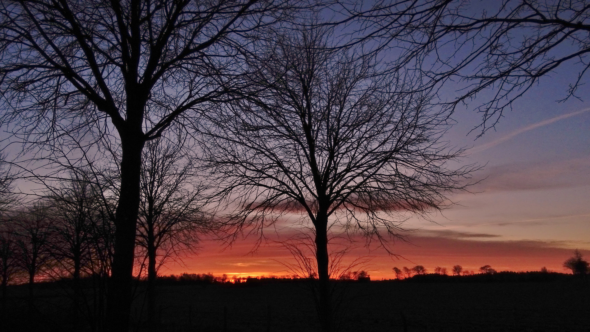 (1) Abendrot im Januar...