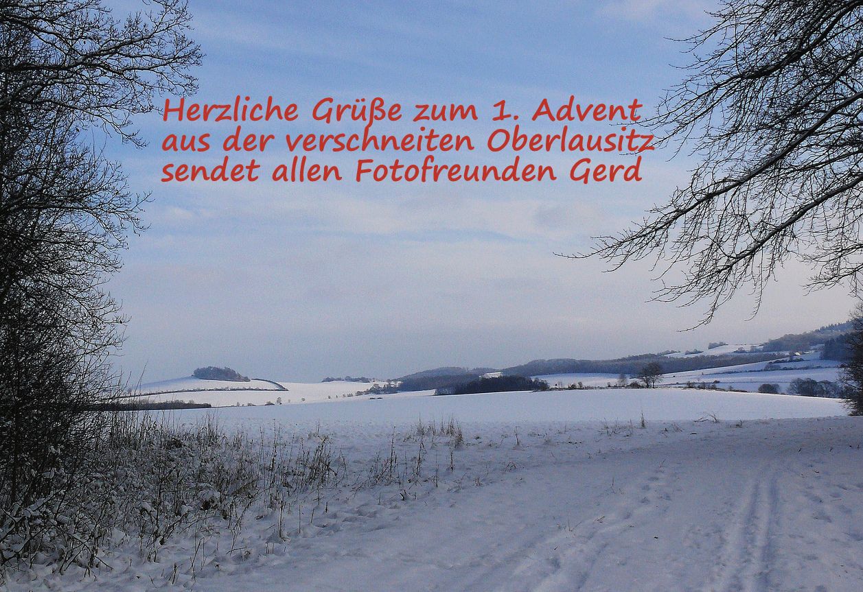 1. Advent