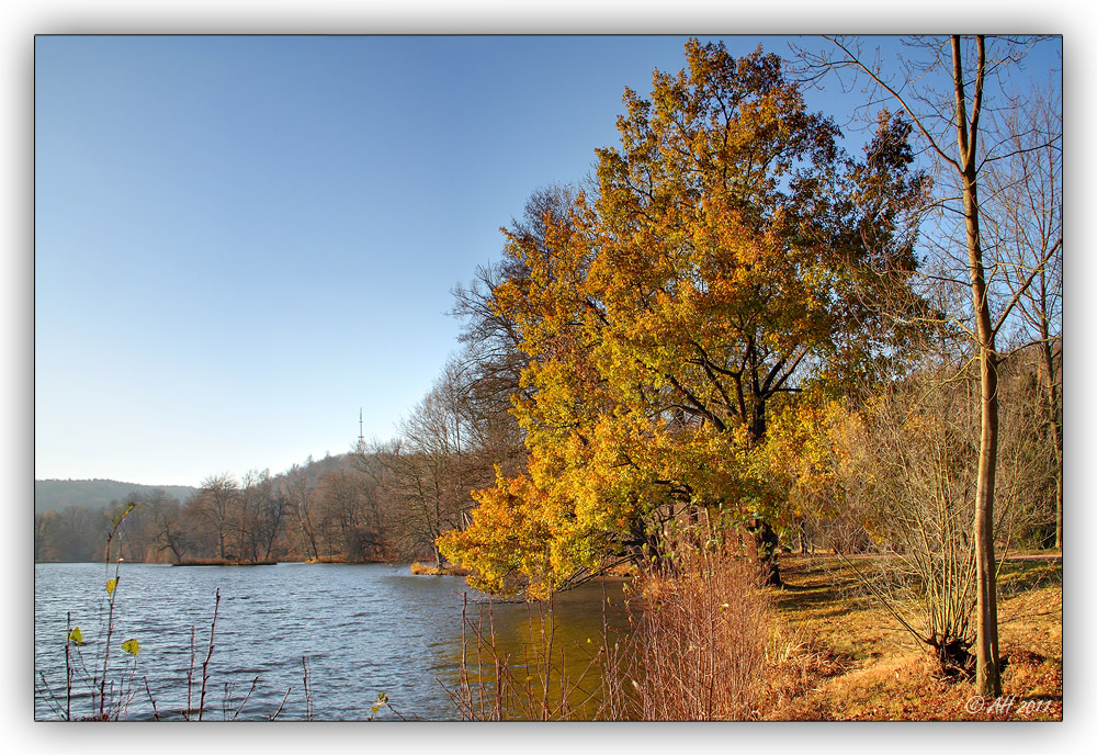 1. Advent im Greizer Park