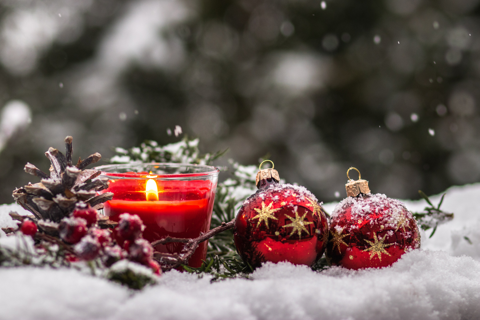 1. Advent im Schnee Foto & Bild monatswettbewerbe, 12 stillleben
