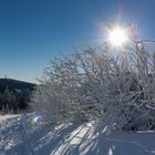 1. Advent Oberwiesenthal im letzten Jahr - Kaiserwetter