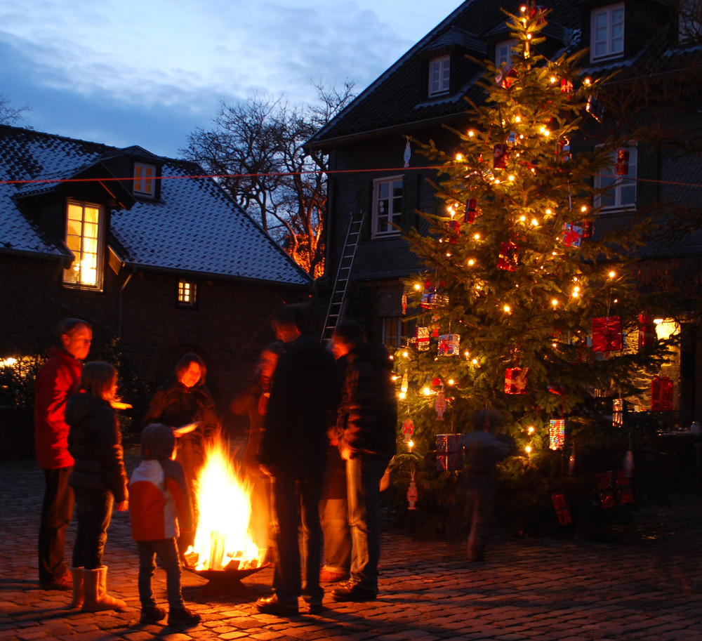 1. Advent und der Baum steht