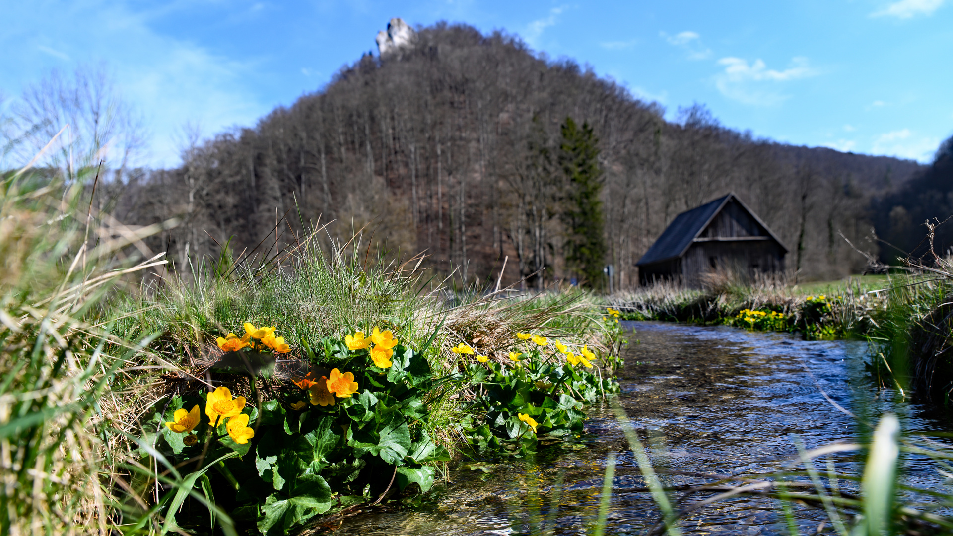 1. April im Eybachtal