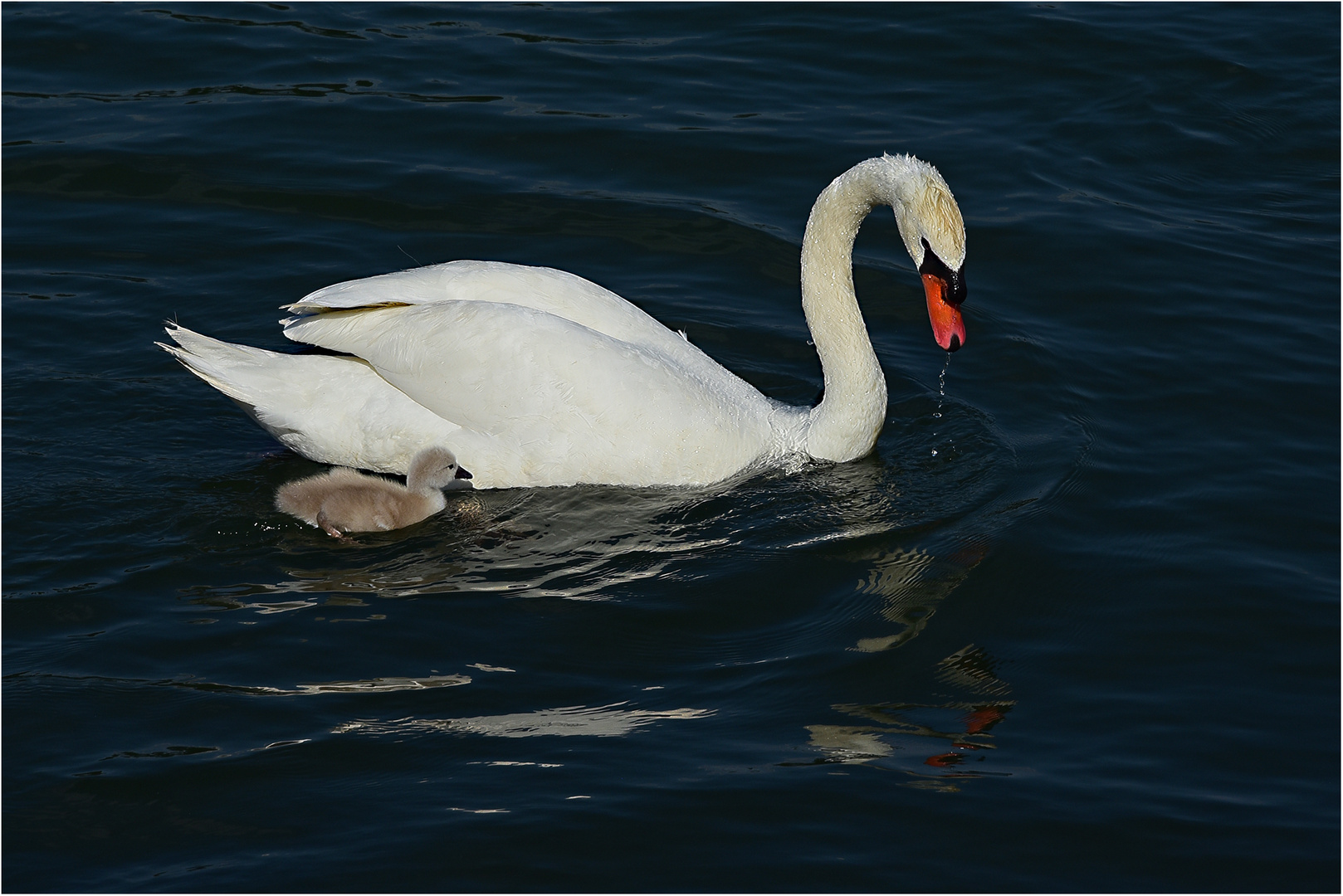 1. Ausflug ins Wasser