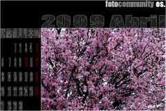 1º CALENDARIO FC ES 2009. - ABRIL.