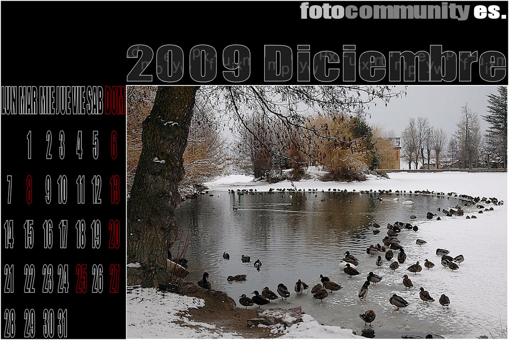 1º CALENDARIO FC ES 2009. - DICIEMBRE.