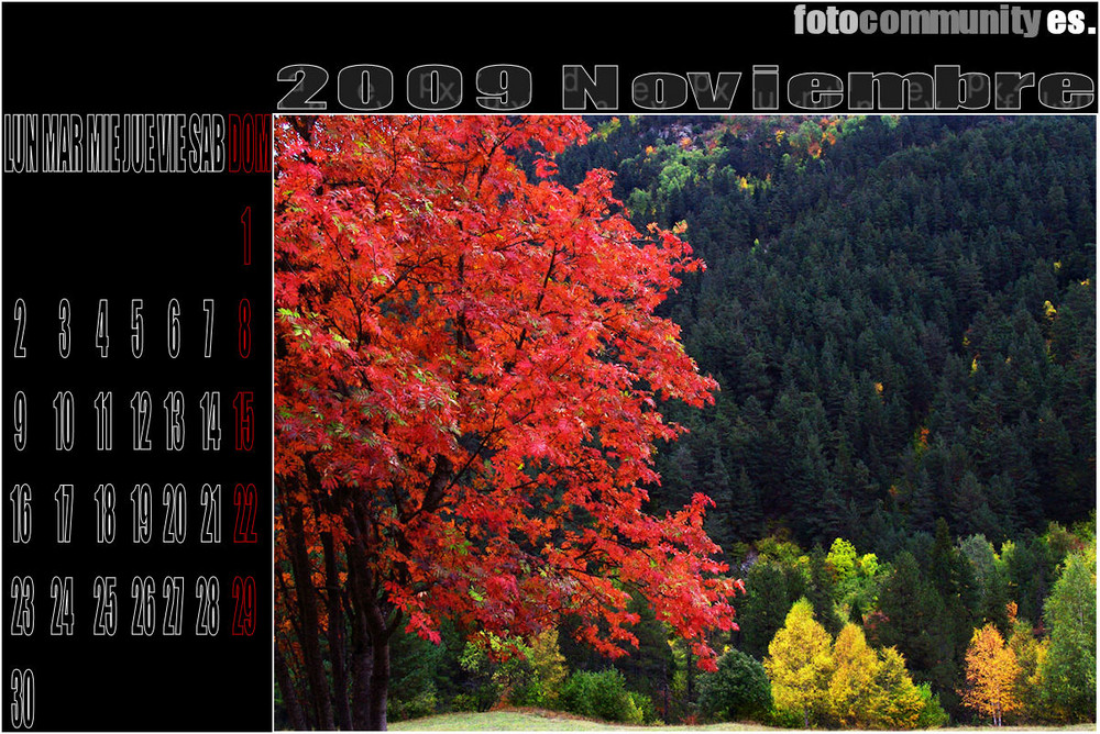 1º CALENDARIO FC ES 2009. - NOVIEMBRE.