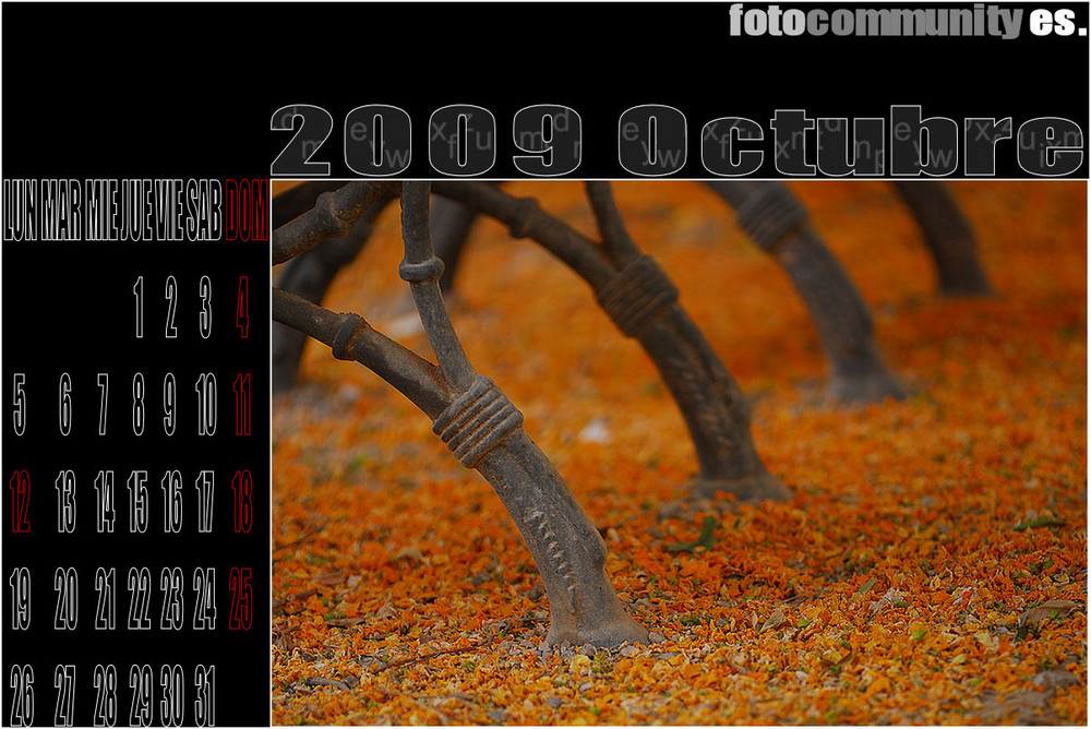 1º CALENDARIO FC ES 2009. - OCTUBRE.