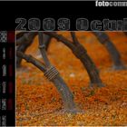 1º CALENDARIO FC ES 2009. - OCTUBRE.