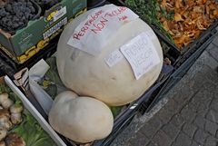 1 Champignon = 18 kg