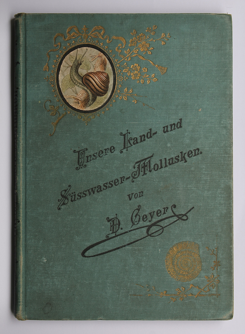 (1) Der "Schneckenmann" David Geyer (Köngen 6.11.1855 - 6.11.1932 Stuttgart)