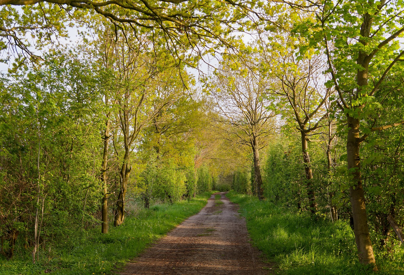 1 - Der Weg zu See im Frühling