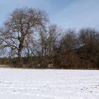 (1) Eisnadeln als Schnee und nadelförmiger Raureif ...